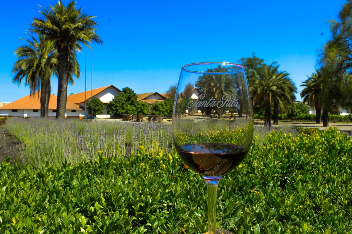 Santa Rita Experience