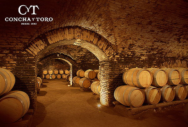Concha & Toro Premium Tour
