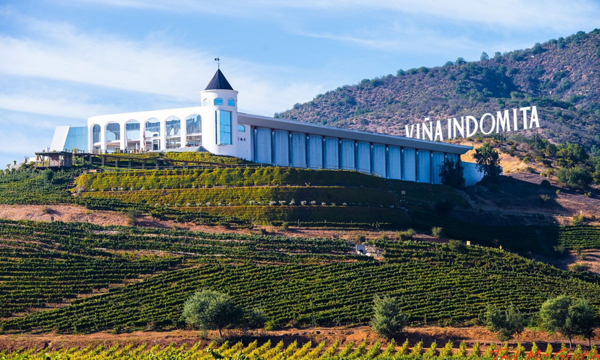 Casablanca Valley 4 Wineries